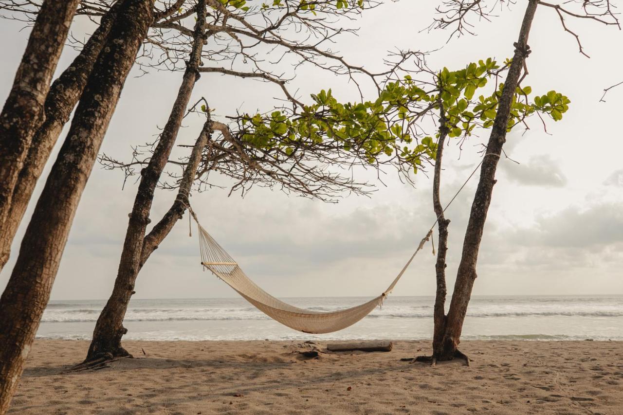 Blue Mist Hotel- Adults Only Playa Santa Teresa  外观 照片
