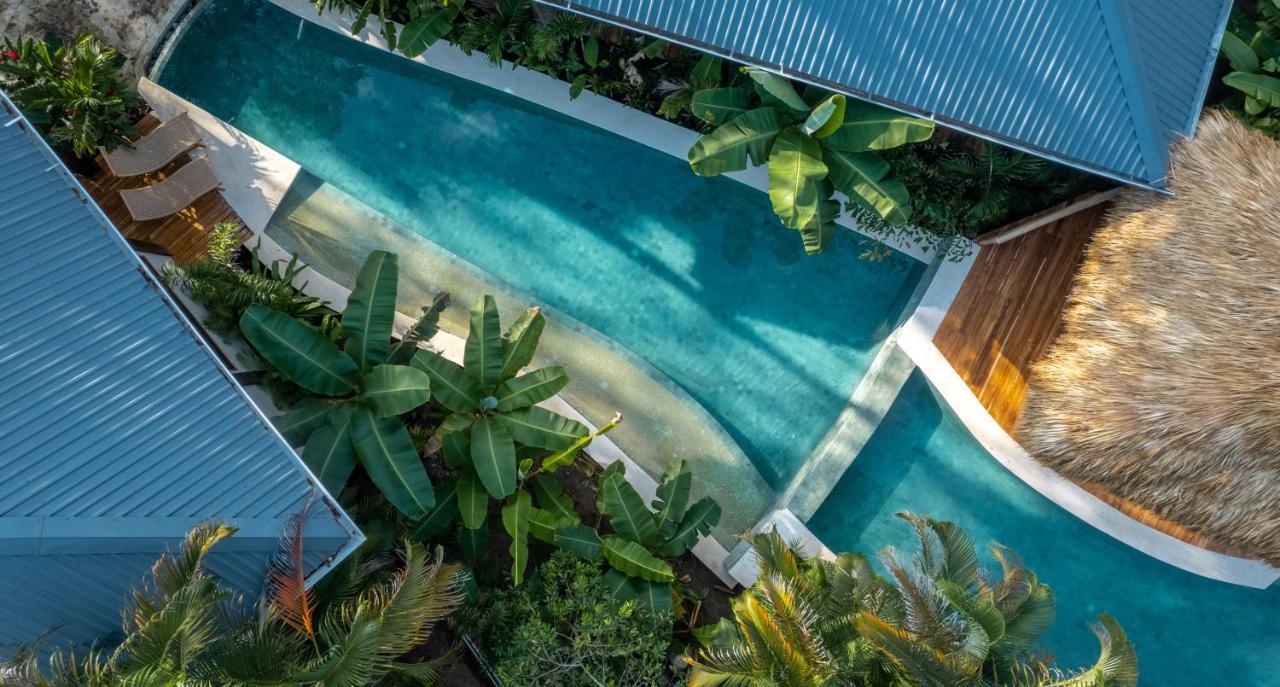 Blue Mist Hotel- Adults Only Playa Santa Teresa  外观 照片